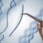 Revolusi CRISPR-Cas9 dalam Pengeditan Gen dan Masa Depan Bioteknologi