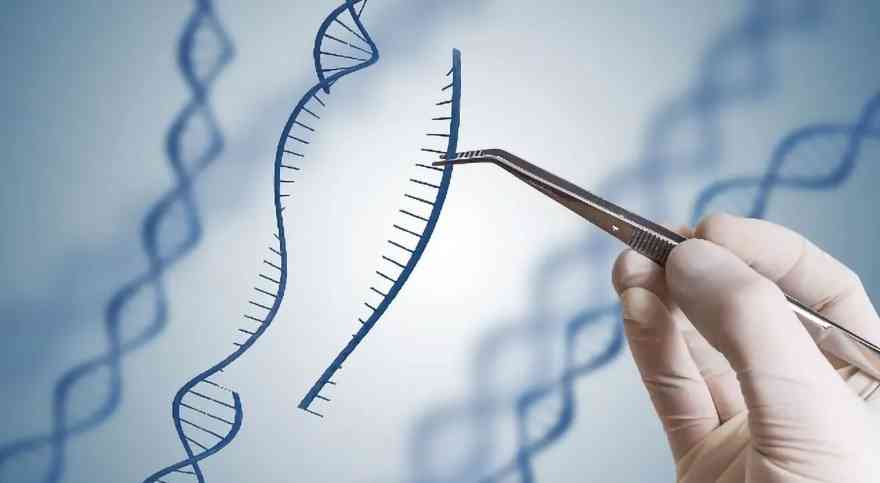 Revolusi CRISPR-Cas9 dalam Pengeditan Gen dan Masa Depan Bioteknologi