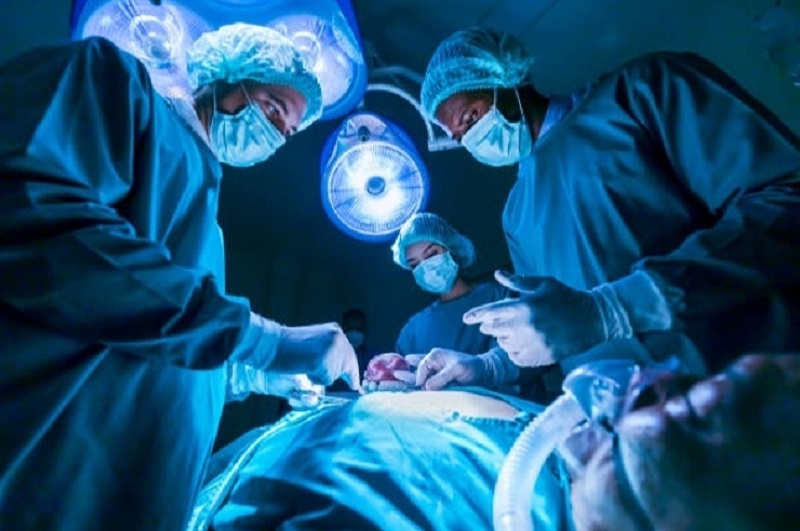 Xenotransplantasi: Terobosan dan Tantangan dalam Transplantasi Organ