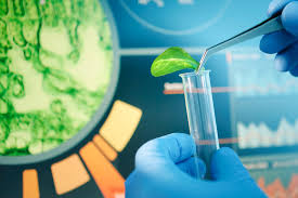 Bioteknologi: Inovasi di Persimpangan Ilmu Biologi dan Teknologi